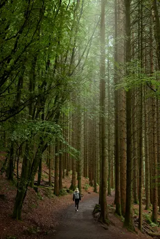 Discover Collection Birr Orchard Ireland 0691
