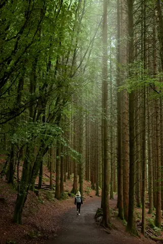 Discover Collection Birr Orchard Ireland 0691