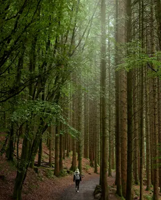 Discover Collection Birr Orchard Ireland 0691