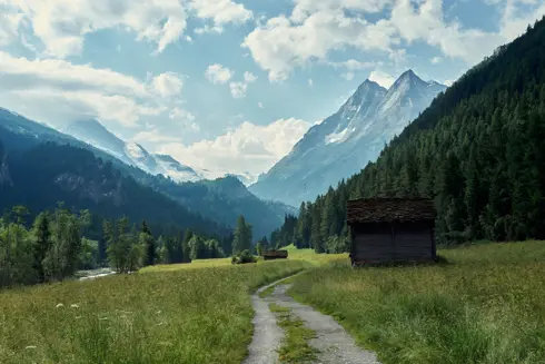 Tobymitchell2025 DISCOVERCOLLECTION SWISS 0992