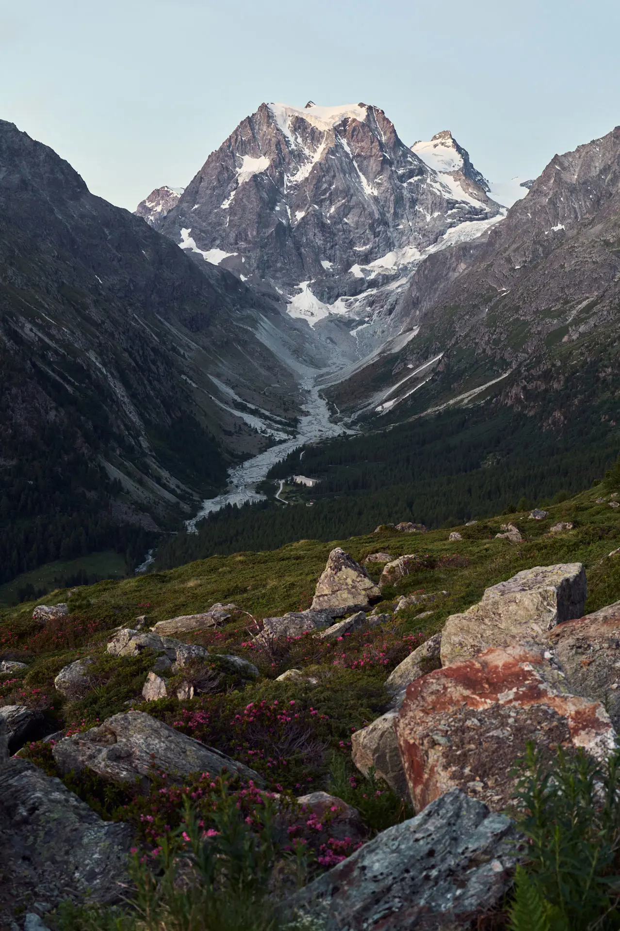 Tobymitchell2025 DISCOVERCOLLECTION SWISS 0006