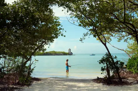 Discover Collection Mexico Isla Grande Tobymitchell2025 DISCOVERCOLLECTION HOLBOX 0804 V1