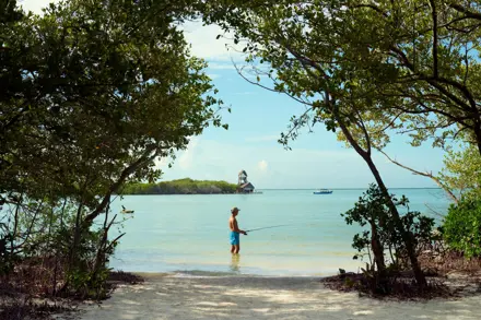 Discover Collection Mexico Isla Grande Tobymitchell2025 DISCOVERCOLLECTION HOLBOX 0804 V1