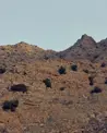 Discover Collection Ras Amud Oman 0877