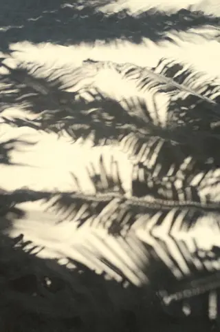 Discover Collection Mexico Isla Grande Tobymitchell2025 DISCOVERCOLLECTION HOLBOX 0252