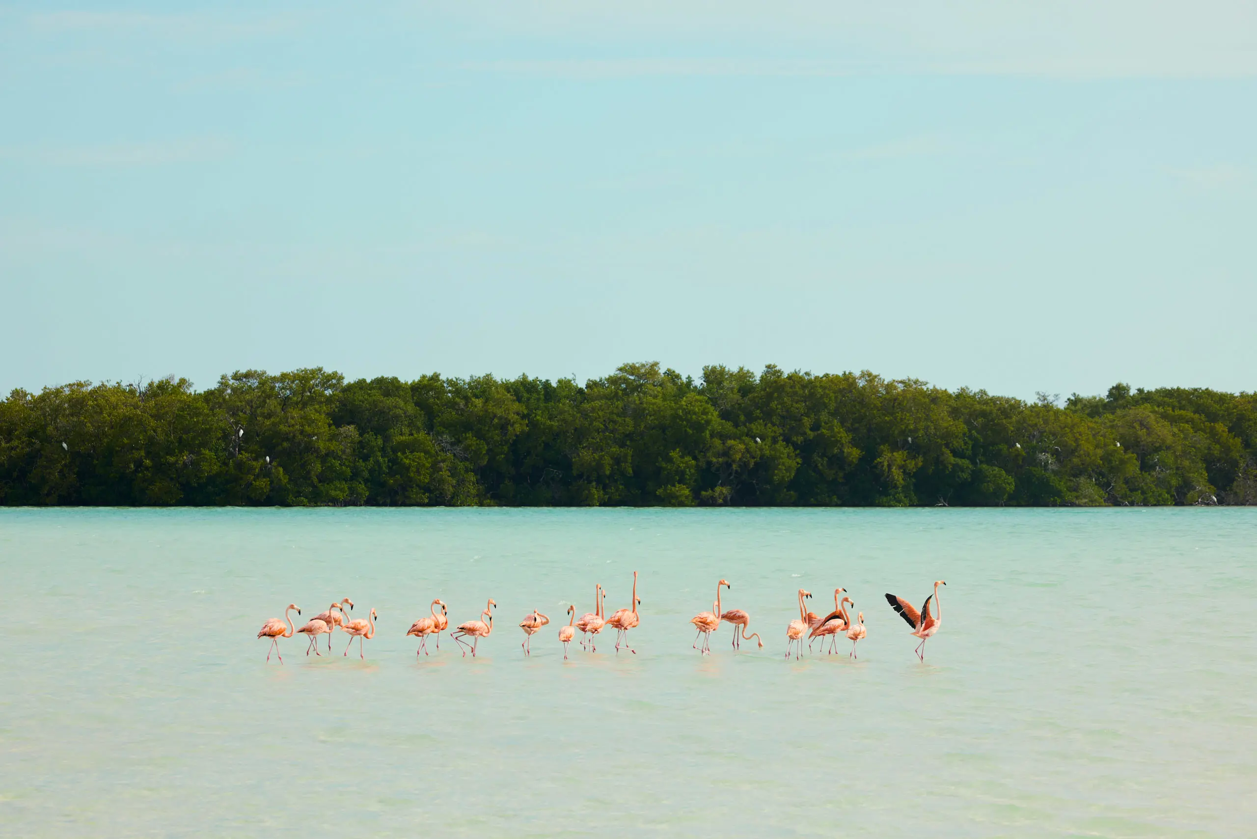 Discover Collection Mexico Isla Grande Tobymitchell2025 DISCOVERCOLLECTION HOLBOX 0018