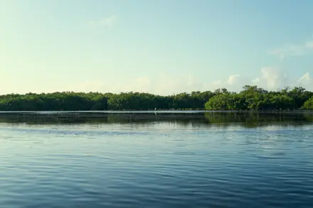 Discover Collection Mexico Isla Grande Tobymitchell2025 DISCOVERCOLLECTION HOLBOX 0502