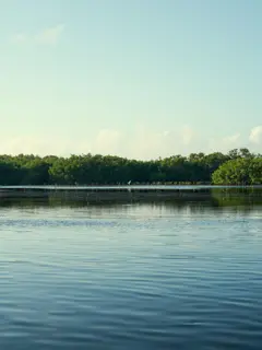 Discover Collection Mexico Isla Grande Tobymitchell2025 DISCOVERCOLLECTION HOLBOX 0502