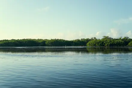 Discover Collection Mexico Isla Grande Tobymitchell2025 DISCOVERCOLLECTION HOLBOX 0502