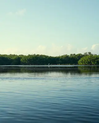 Discover Collection Mexico Isla Grande Tobymitchell2025 DISCOVERCOLLECTION HOLBOX 0502