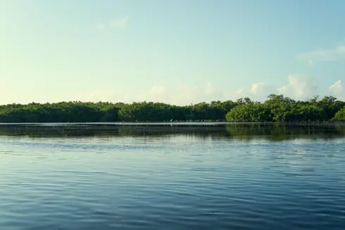 Discover Collection Mexico Isla Grande Tobymitchell2025 DISCOVERCOLLECTION HOLBOX 0502
