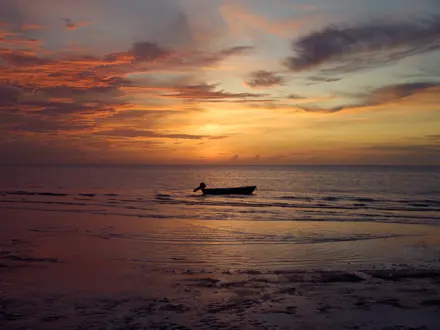Discover Collection Mexico Isla Grande Tobymitchell2025 DISCOVERCOLLECTION HOLBOX 0697