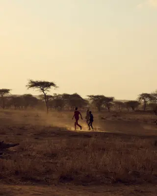 Discover Collection Kenya 0217