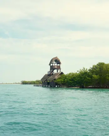 Discover Collection Mexico Isla Grande Tobymitchell2025 DISCOVERCOLLECTION HOLBOX 0231