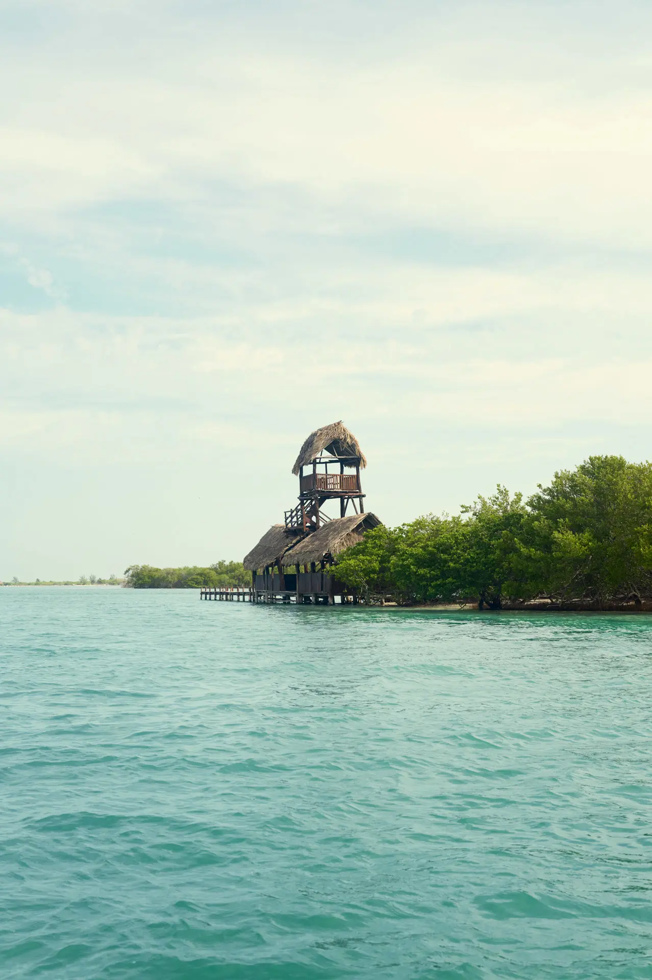 Discover Collection Mexico Isla Grande Tobymitchell2025 DISCOVERCOLLECTION HOLBOX 0231