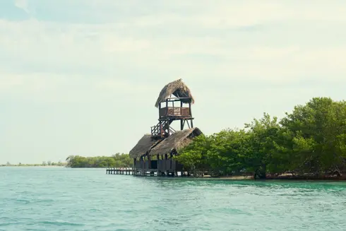 Discover Collection Mexico Isla Grande Tobymitchell2025 DISCOVERCOLLECTION HOLBOX 0231