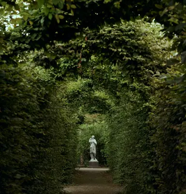 Discover Collection Birr Orchard Ireland 0241