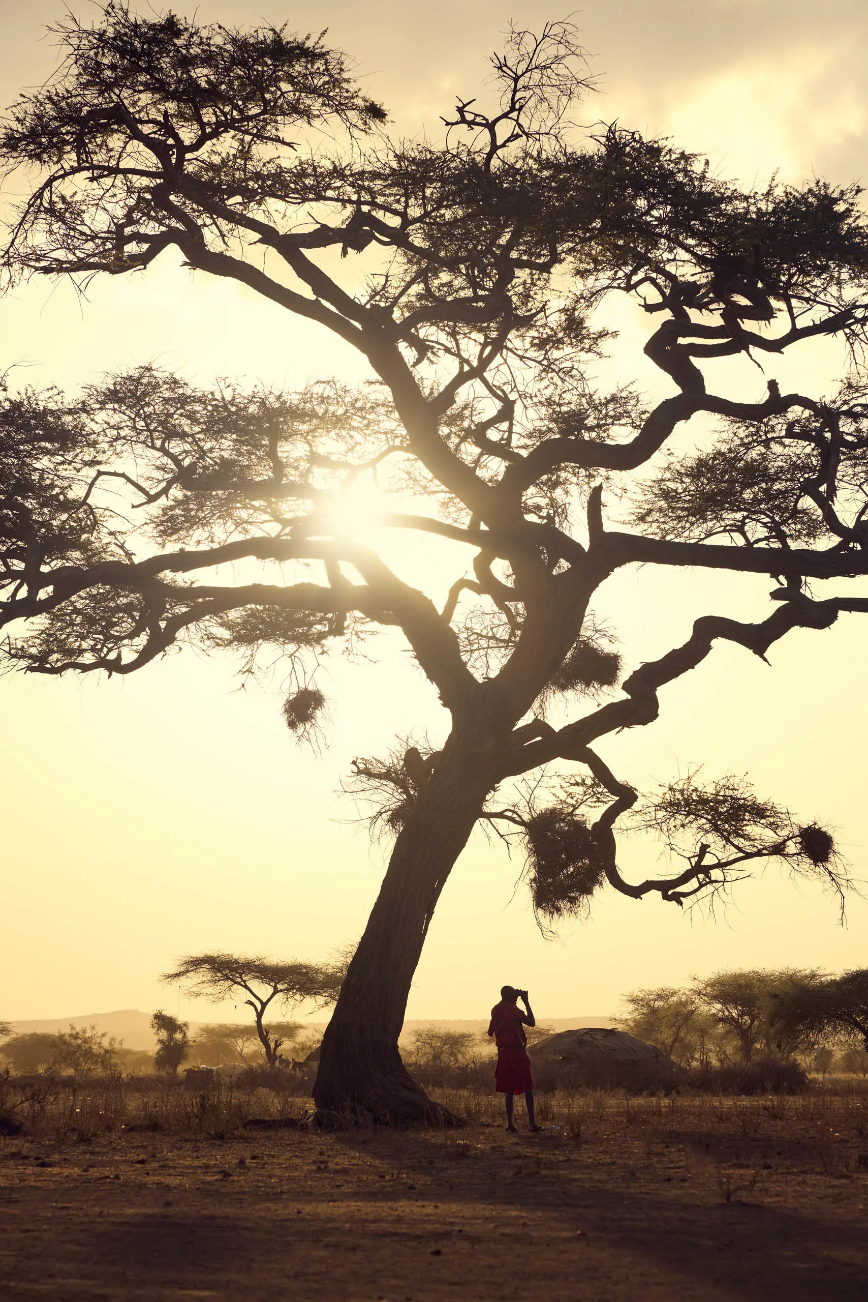 Discover Collection Kenya 0156