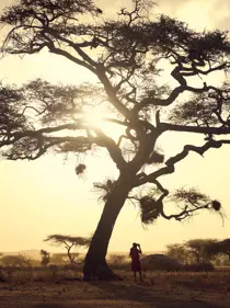 Discover Collection Kenya 0156
