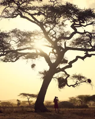 Discover Collection Kenya 0156