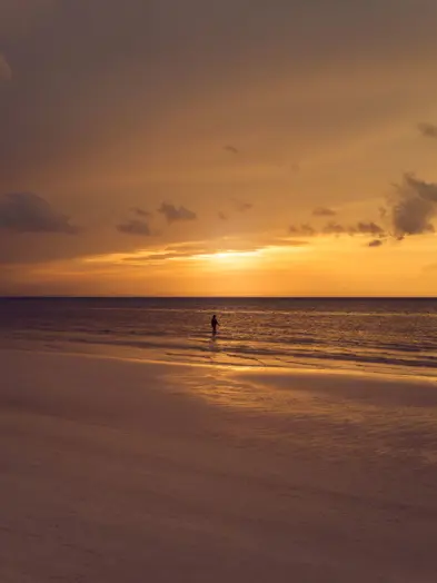 Tobymitchell2025 DISCOVERCOLLECTION HOLBOX 0309