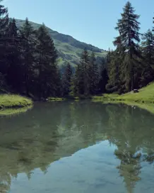 Discover Collection Switzerland Evolene Arolla Tobymitchell2025 DISCOVERCOLLECTION SWISS 0166