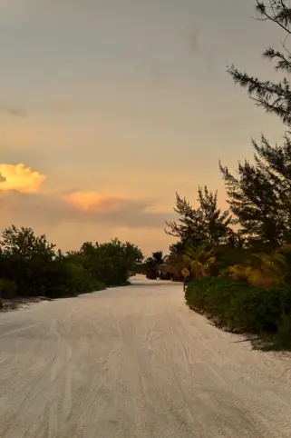 Discover Collection Mexico Isla Grande Tobymitchell2025 DISCOVERCOLLECTION HOLBOX 0344