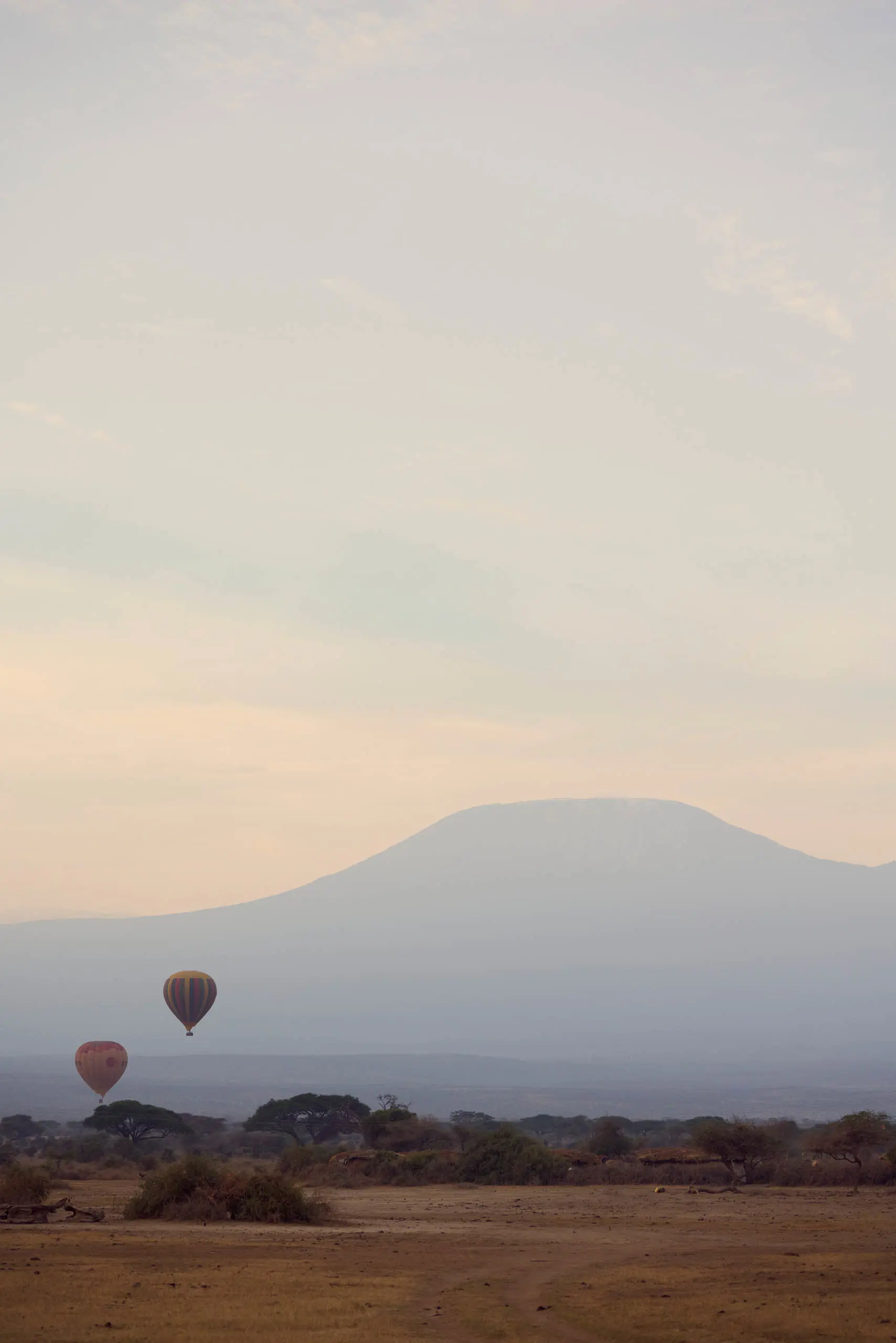 Discover Collection Kenya 1227