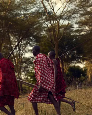 Discover Collection Kenya 0357