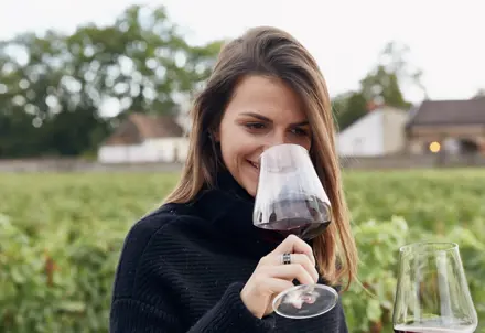 Discover Collection Chateau De Pommard 14