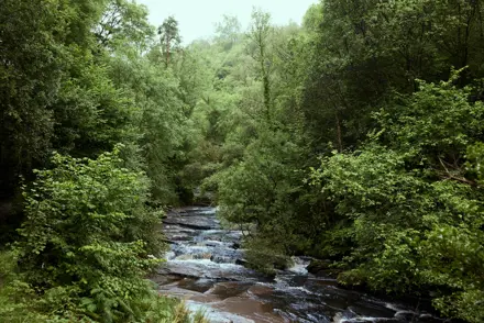 Discover Collection Birr Orchard Ireland 0658