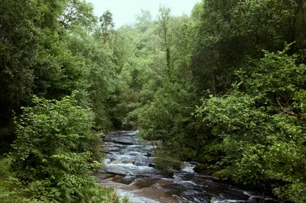 Discover Collection Birr Orchard Ireland 0658