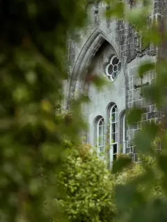 Discover Collection Birr Orchard Ireland 0473