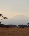 Discover Collection Kenya 1206