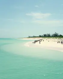 Discover Collection Mexico Isla Grande Tobymitchell2025 DISCOVERCOLLECTION HOLBOX 0251