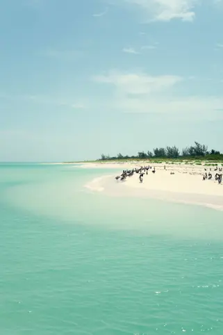 Discover Collection Mexico Isla Grande Tobymitchell2025 DISCOVERCOLLECTION HOLBOX 0251
