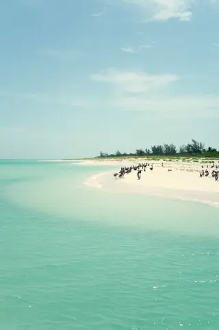 Discover Collection Mexico Isla Grande Tobymitchell2025 DISCOVERCOLLECTION HOLBOX 0251