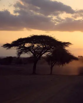 Discover Collection Kenya 0040