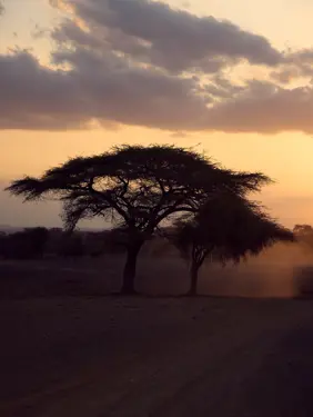 Discover Collection Kenya 0040