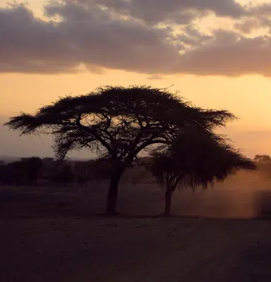 Discover Collection Kenya 0040