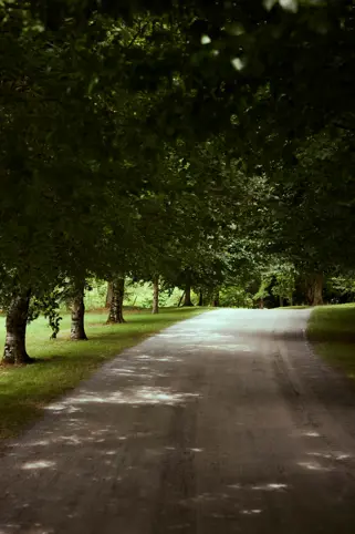 Discover Collection Birr Orchard Ireland 0758
