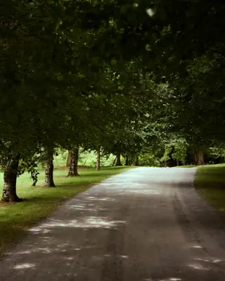 Discover Collection Birr Orchard Ireland 0758