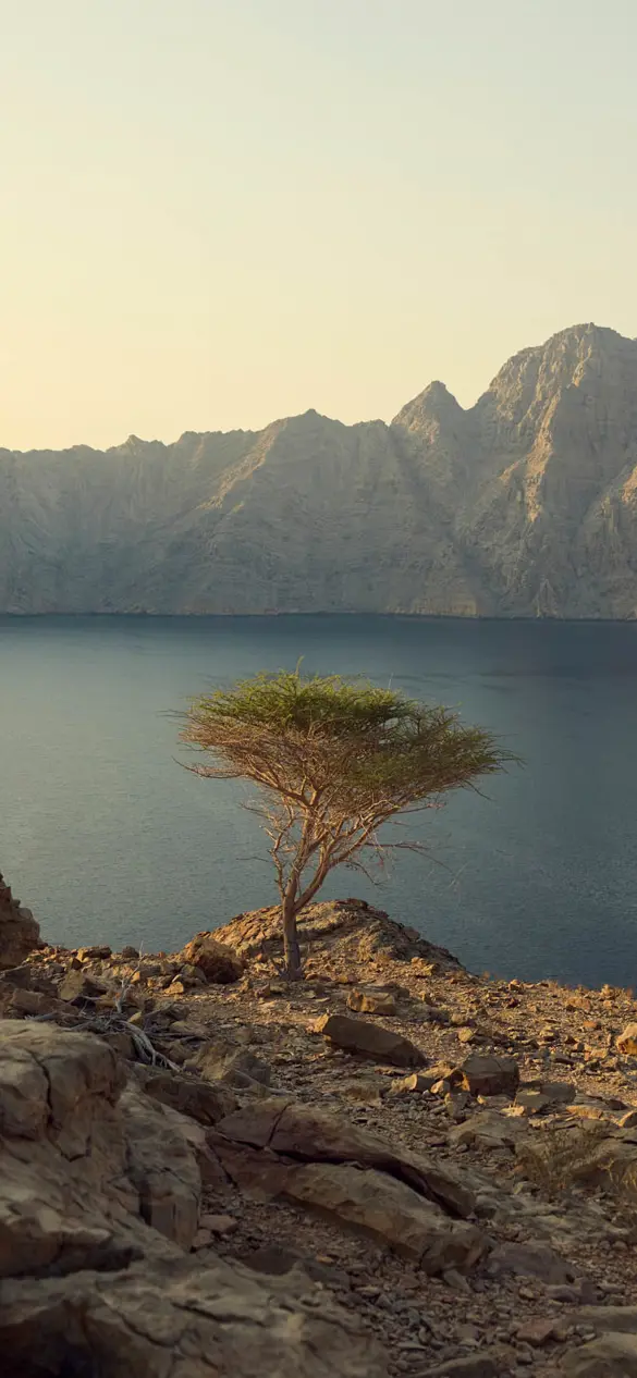 Discover Collection Ras Amud Oman 0246