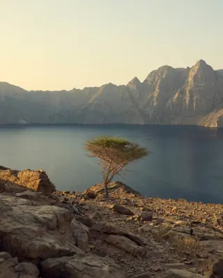 Discover Collection Ras Amud Oman 0246