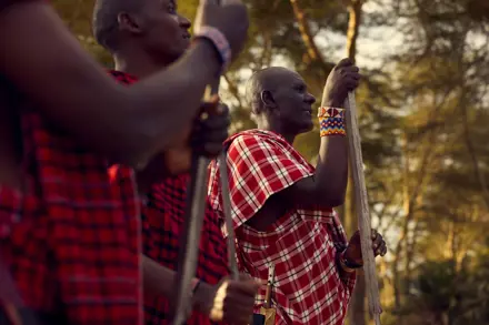 Discover Collection Kenya 0340