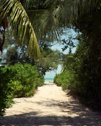 Discover Collection Mexico Isla Grande Tobymitchell2025 DISCOVERCOLLECTION HOLBOX 0560