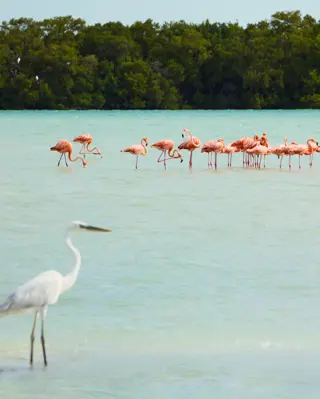 Discover Collection Mexico Isla Grande Tobymitchell2025 DISCOVERCOLLECTION HOLBOX 0005
