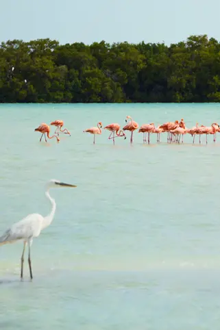 Discover Collection Mexico Isla Grande Tobymitchell2025 DISCOVERCOLLECTION HOLBOX 0005