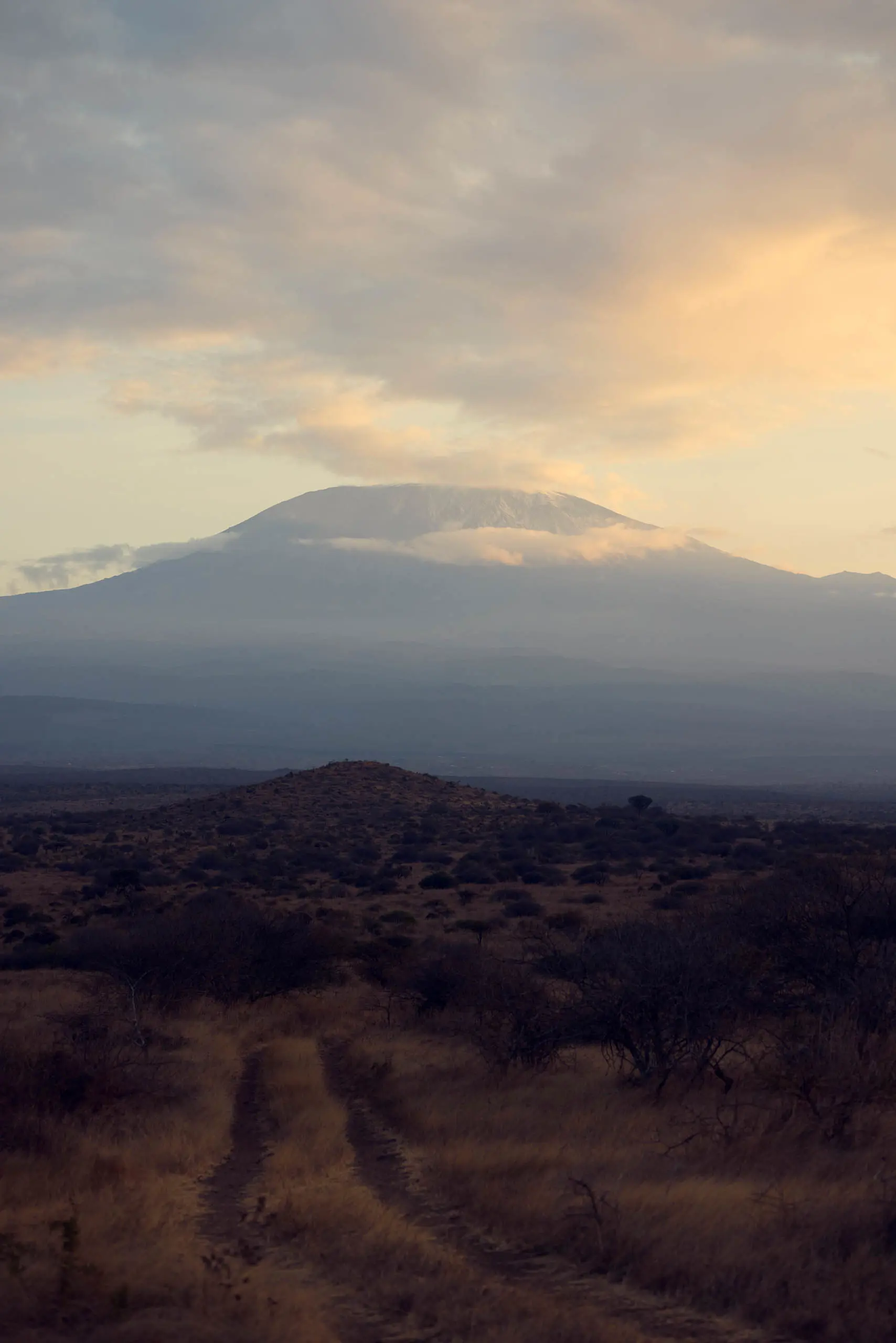 Discover Collection Kenya 0661