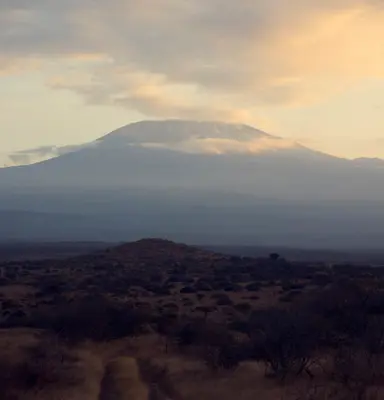 Discover Collection Kenya 0661